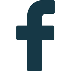 Invictus Dizajn facebook icon