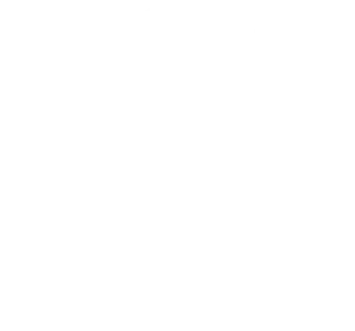 Invictus Dizajn Home